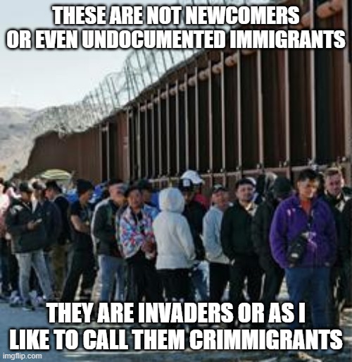 Illegal Aliens | THESE ARE NOT NEWCOMERS OR EVEN UNDOCUMENTED IMMIGRANTS; THEY ARE INVADERS OR AS I LIKE TO CALL THEM CRIMMIGRANTS | image tagged in illegal aliens | made w/ Imgflip meme maker