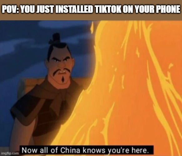 Yep | POV: YOU JUST INSTALLED TIKTOK ON YOUR PHONE | image tagged in now all of china knows you're here,tiktok,tiktok sucks,spying,phone | made w/ Imgflip meme maker