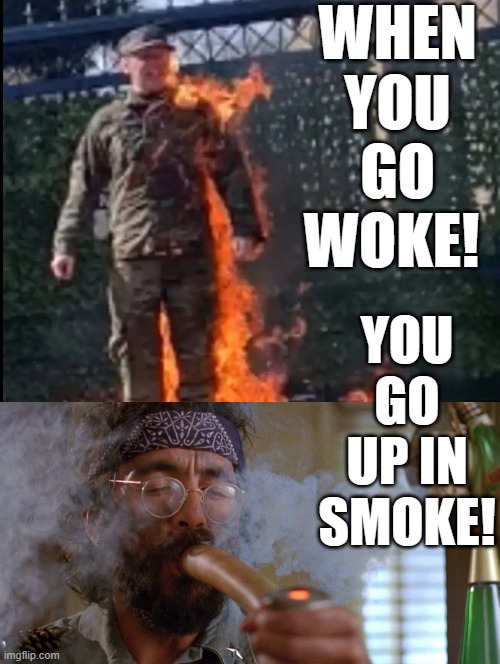 Go Woke, go up in smoke!! | WHEN YOU GO WOKE! YOU GO UP IN SMOKE! | image tagged in cheech and chong,woke,smoke | made w/ Imgflip meme maker