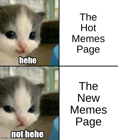 True? | The Hot Memes Page; The New Memes Page | image tagged in cute cat hehe and not hehe,memes,relatable | made w/ Imgflip meme maker