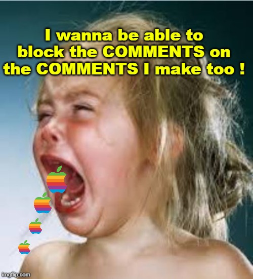 Cry, Whine, Flag, repeat | I wanna be able to block the COMMENTS on the COMMENTS I make too ! | image tagged in need special rules for special people meme | made w/ Imgflip meme maker