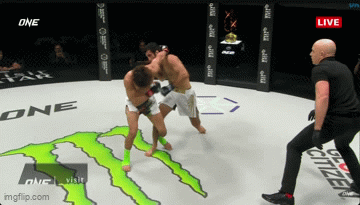 8hlfgf.gif