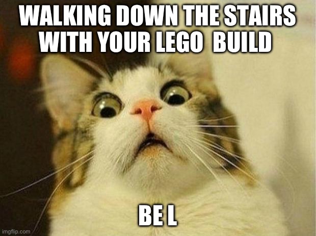 Tru | WALKING DOWN THE STAIRS WITH YOUR LEGO  BUILD; BE LIKE | image tagged in memes,scared cat | made w/ Imgflip meme maker