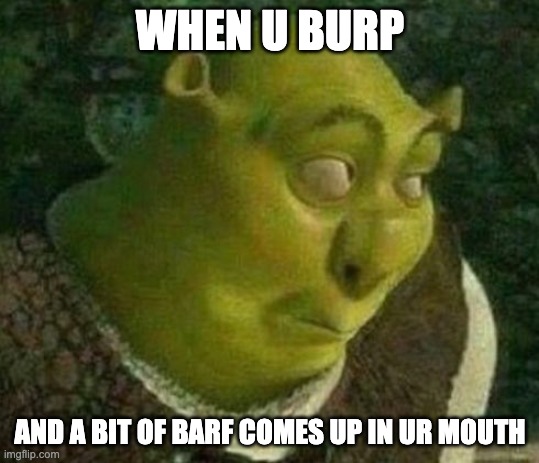 Oops shrek | WHEN U BURP; AND A BIT OF BARF COMES UP IN UR MOUTH | image tagged in oops shrek | made w/ Imgflip meme maker