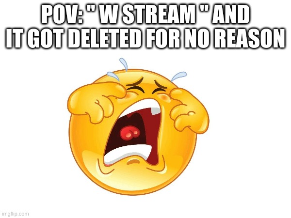 Like what did I do(mod note : You bashed me over liking the furry-fandom that's why so I'm giving you 1 chance to post shit here | POV: " W STREAM " AND IT GOT DELETED FOR NO REASON | image tagged in pro,not funny,seriously | made w/ Imgflip meme maker