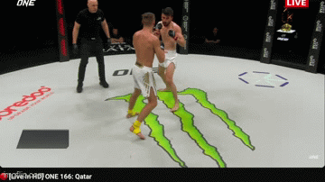 8hlkb9.gif