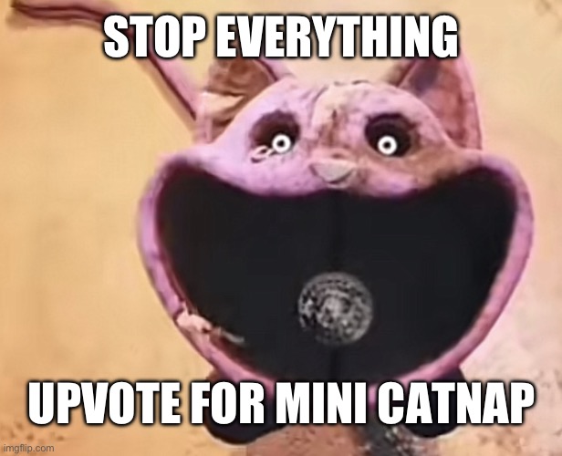 Mini CatNap | STOP EVERYTHING; UPVOTE FOR MINI CATNAP | image tagged in mini catnap | made w/ Imgflip meme maker