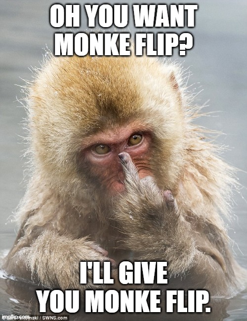 Yes, a Monke Flip meme in 2024. | OH YOU WANT MONKE FLIP? I'LL GIVE YOU MONKE FLIP. | image tagged in memes,funny memes,monke flip,monke,middle finger,flipping the bird | made w/ Imgflip meme maker