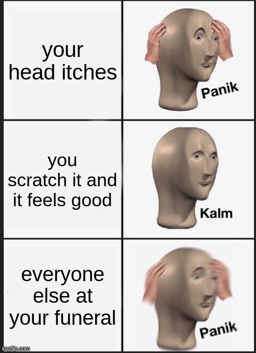 Funer itch | your head itches; you scratch it and it feels good; everyone else at your funeral | image tagged in memes,panik kalm panik | made w/ Imgflip meme maker