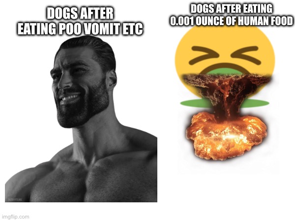 Puke | DOGS AFTER EATING 0.001 OUNCE OF HUMAN FOOD; DOGS AFTER EATING POO VOMIT ETC | image tagged in puke,dog | made w/ Imgflip meme maker