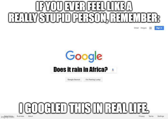 Does it Rain in Africa? | IF YOU EVER FEEL LIKE A REALLY STUPID PERSON, REMEMBER:; Does it rain in Africa? I GOOGLED THIS IN REAL LIFE. | image tagged in google search meme | made w/ Imgflip meme maker
