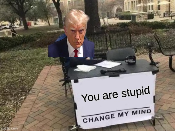 Change My Mind | You are stupid | image tagged in memes,change my mind | made w/ Imgflip meme maker