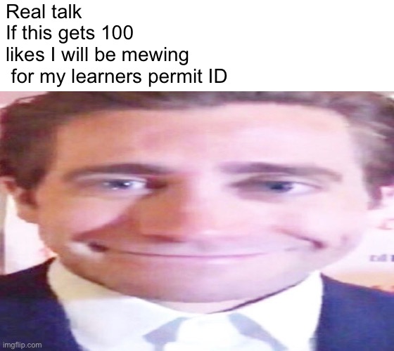 wide jake gyllenhaal | Real talk



If this gets 100 
likes I will be mewing
 for my learners permit ID | image tagged in wide jake gyllenhaal,mew,driver | made w/ Imgflip meme maker