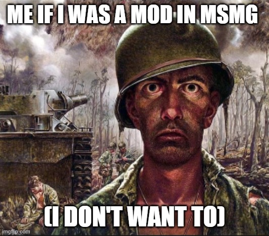 PTSD | ME IF I WAS A MOD IN MSMG; (I DON'T WANT TO) | image tagged in ptsd | made w/ Imgflip meme maker