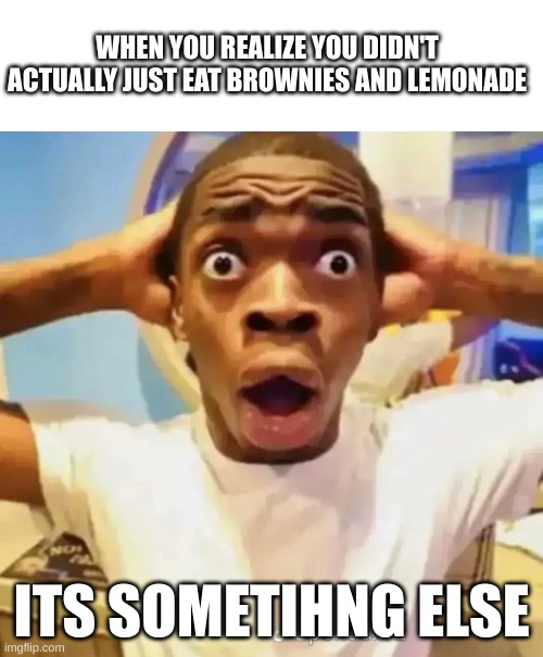 u get it? | WHEN YOU REALIZE YOU DIDN'T ACTUALLY JUST EAT BROWNIES AND LEMONADE; ITS SOMETIHNG ELSE | image tagged in shocked black guy | made w/ Imgflip meme maker