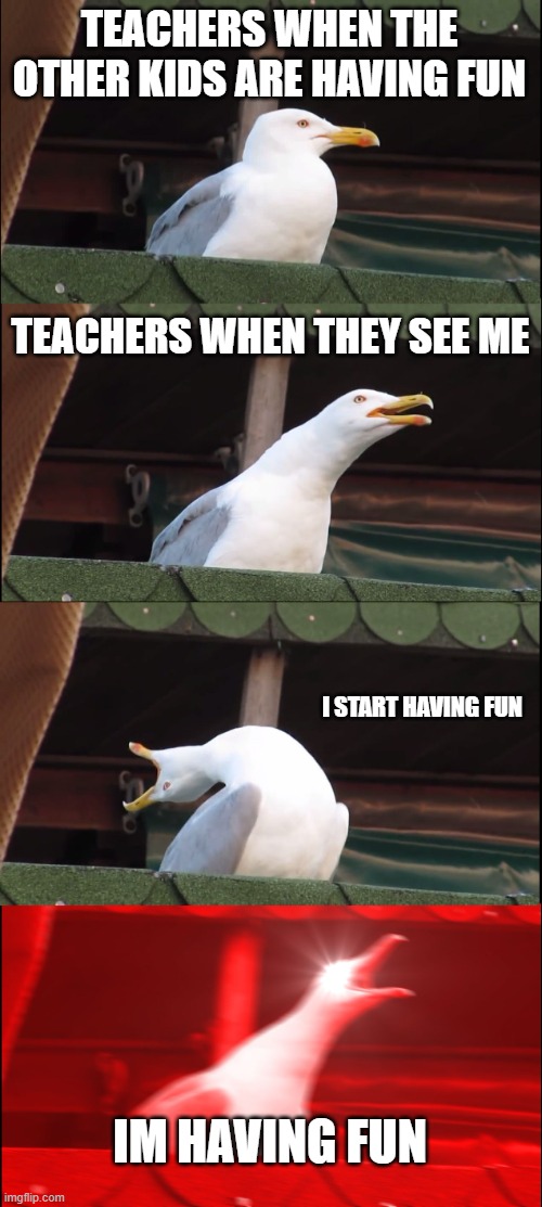 yes | TEACHERS WHEN THE OTHER KIDS ARE HAVING FUN; TEACHERS WHEN THEY SEE ME; I START HAVING FUN; IM HAVING FUN | image tagged in memes,inhaling seagull | made w/ Imgflip meme maker