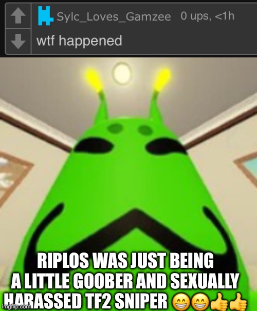 RIPLOS WAS JUST BEING A LITTLE GOOBER AND SEXUALLY HARASSED TF2 SNIPER 😁😁👍👍 | image tagged in gnarpy | made w/ Imgflip meme maker
