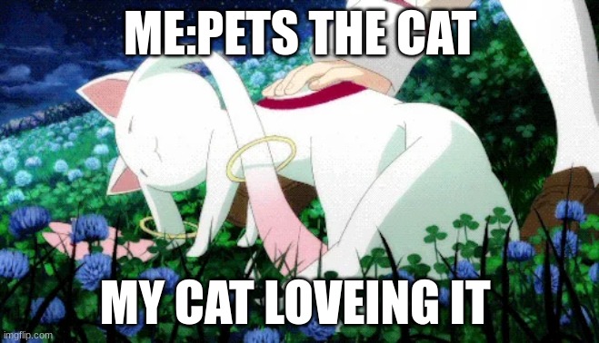 CATS when you pet them | ME:PETS THE CAT; MY CAT LOVEING IT | image tagged in cats | made w/ Imgflip meme maker