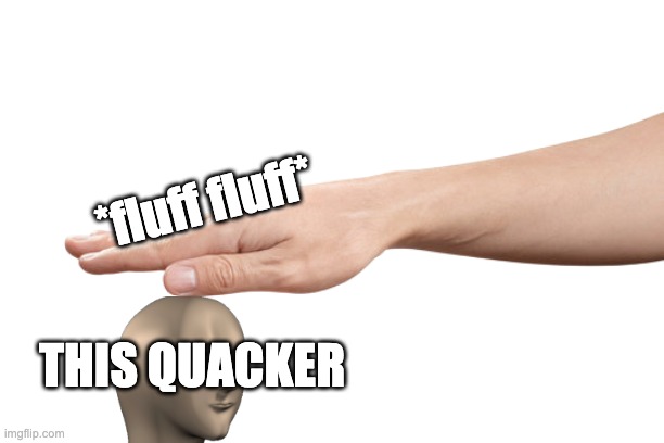 Hand pat | *fluff fluff* THIS QUACKER | image tagged in hand pat | made w/ Imgflip meme maker