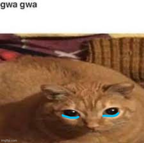 Gwa gwa | image tagged in gwa gwa | made w/ Imgflip meme maker