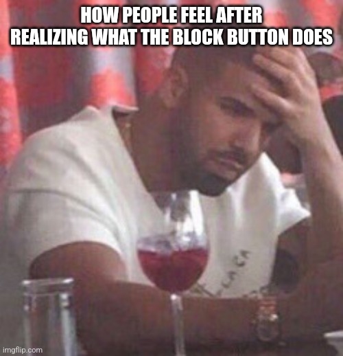 Drake upset | HOW PEOPLE FEEL AFTER REALIZING WHAT THE BLOCK BUTTON DOES | image tagged in drake upset | made w/ Imgflip meme maker