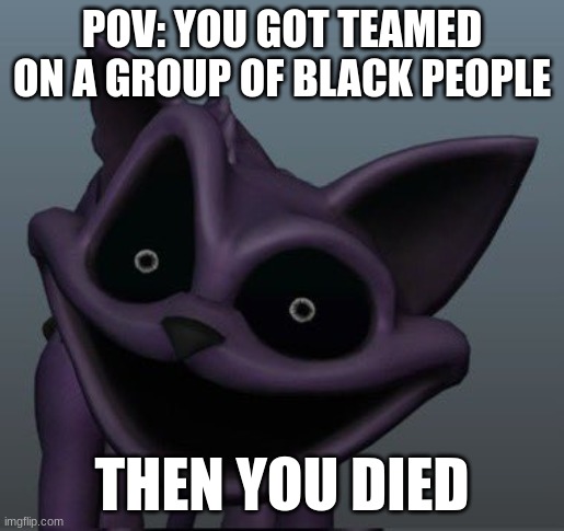 you got teamed on a group of black people | POV: YOU GOT TEAMED ON A GROUP OF BLACK PEOPLE; THEN YOU DIED | image tagged in live catnap reaction | made w/ Imgflip meme maker