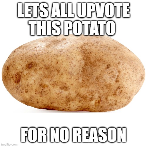 If this gets 200 upvotes, then I will follow and upvote everyone's memes who upvoted  and commented | LETS ALL UPVOTE THIS POTATO; FOR NO REASON | image tagged in potato,who reads these | made w/ Imgflip meme maker