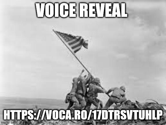 raising the flag | VOICE REVEAL; HTTPS://VOCA.RO/17DTRSVTUHLP | image tagged in raising the flag | made w/ Imgflip meme maker