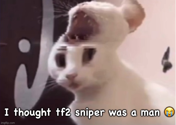 Shocked cat | I thought tf2 sniper was a man 😭 | image tagged in shocked cat | made w/ Imgflip meme maker