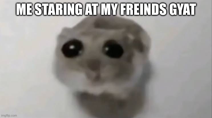 Me fr | ME STARING AT MY FREINDS GYAT | image tagged in sad hamster | made w/ Imgflip meme maker