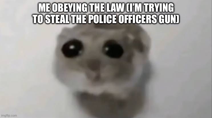 Mr fr | ME OBEYING THE LAW (I’M TRYING TO STEAL THE POLICE OFFICERS GUN) | image tagged in sad hamster | made w/ Imgflip meme maker