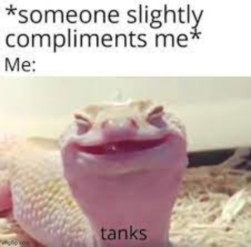 happy danger noodle | made w/ Imgflip meme maker