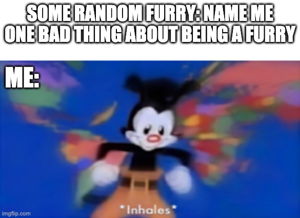 Yakko inhale | SOME RANDOM FURRY: NAME ME ONE BAD THING ABOUT BEING A FURRY ME: | image tagged in yakko inhale | made w/ Imgflip meme maker