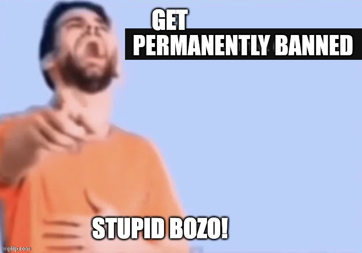 To riplos | PERMANENTLY BANNED | image tagged in get low rated stupid bozo | made w/ Imgflip meme maker