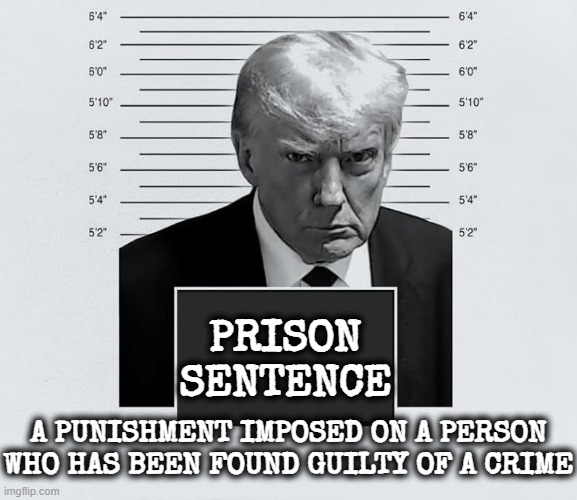 PRISON SENTENCE | PRISON SENTENCE; A PUNISHMENT IMPOSED ON A PERSON WHO HAS BEEN FOUND GUILTY OF A CRIME | image tagged in prison sentence,criminal,felon,punishment,justice,jail | made w/ Imgflip meme maker