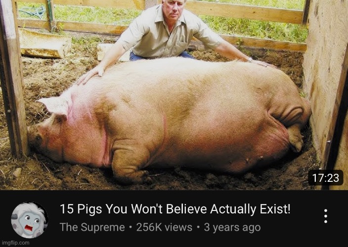 Ok that was my little cameo for today.  Bye bye. | made w/ Imgflip meme maker