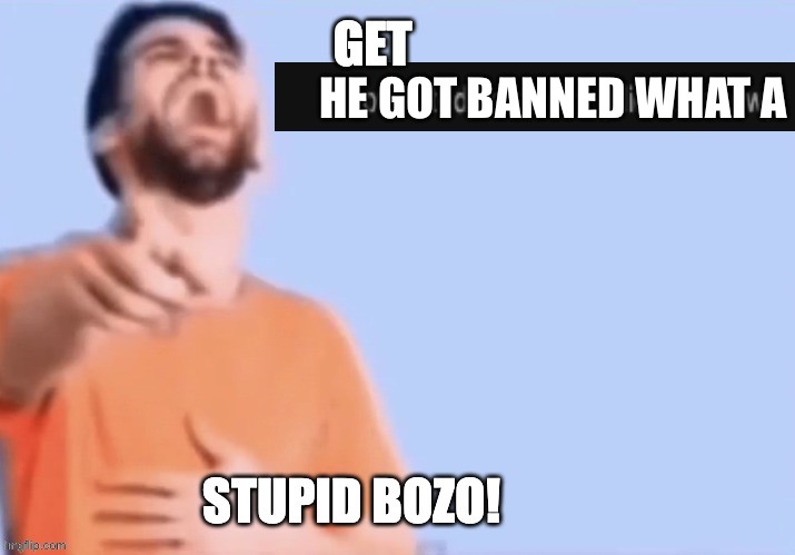 Get low rated stupid bozo | HE GOT BANNED WHAT A | image tagged in get low rated stupid bozo | made w/ Imgflip meme maker