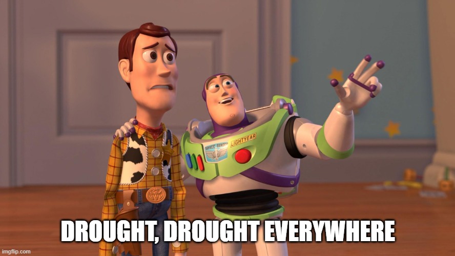 Drought | DROUGHT, DROUGHT EVERYWHERE | image tagged in woody and buzz lightyear everywhere widescreen | made w/ Imgflip meme maker