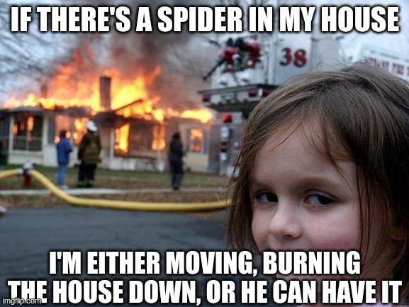 Disaster Girl | IF THERE'S A SPIDER IN MY HOUSE; I'M EITHER MOVING, BURNING THE HOUSE DOWN, OR HE CAN HAVE IT | image tagged in memes,disaster girl | made w/ Imgflip meme maker