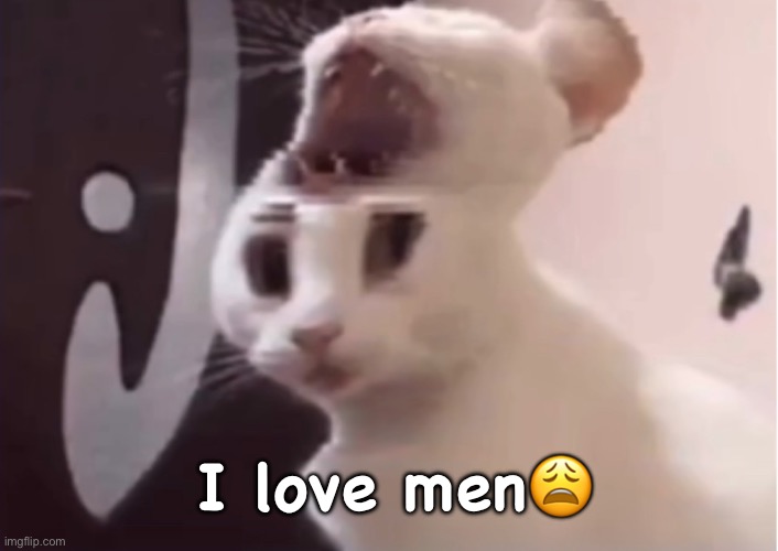 Shocked cat | I love men😩 | image tagged in shocked cat | made w/ Imgflip meme maker