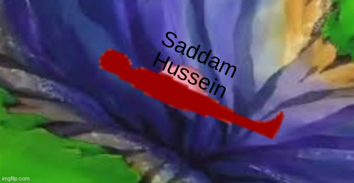 Kirby Falling | Saddam Hussein | image tagged in kirby falling | made w/ Imgflip meme maker