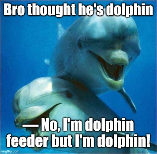 bro thinked he's dolphin but captions are confused and silly :') | Bro thought he's dolphin; — No, I'm dolphin feeder but I'm dolphin! | image tagged in dolphins | made w/ Imgflip meme maker