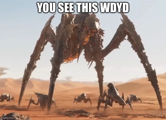 Helldivers | YOU SEE THIS WDYD | image tagged in helldivers | made w/ Imgflip meme maker