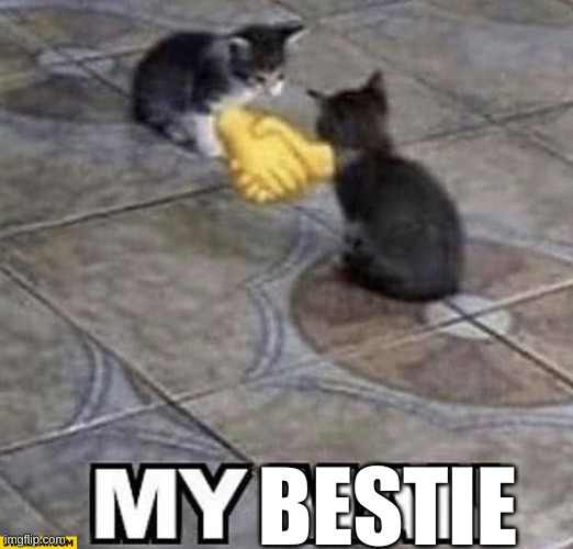 Cats shaking hands | BESTIE | image tagged in cats shaking hands | made w/ Imgflip meme maker