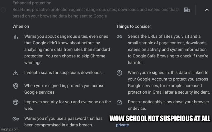 wtf school | WOW SCHOOL NOT SUSPICIOUS AT ALL | image tagged in dude wtf,why are you reading this,idk | made w/ Imgflip meme maker