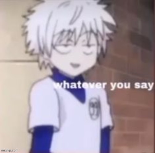 Killua whatever you say | image tagged in killua whatever you say | made w/ Imgflip meme maker