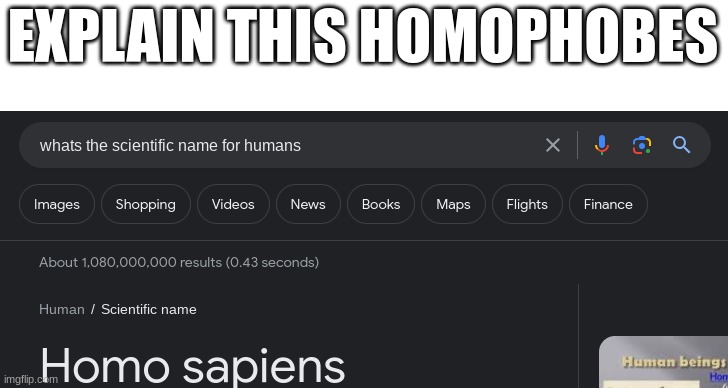 explain this homophobes | EXPLAIN THIS HOMOPHOBES | image tagged in explain this | made w/ Imgflip meme maker