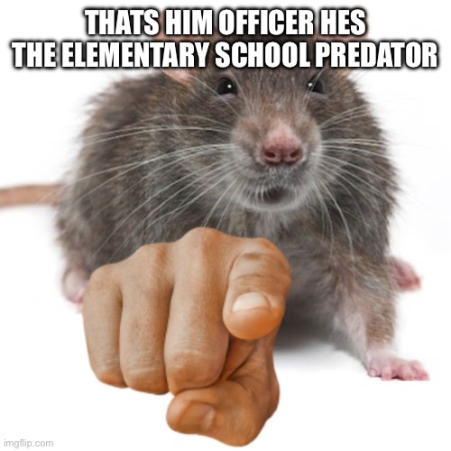 RatPointing Alternate | THATS HIM OFFICER HES THE ELEMENTARY SCHOOL PREDATOR | image tagged in ratpointing alternate | made w/ Imgflip meme maker