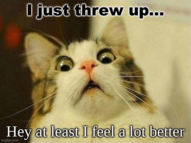 it was a yuck | I just threw up... Hey at least I feel a lot better | image tagged in memes,scared cat | made w/ Imgflip meme maker