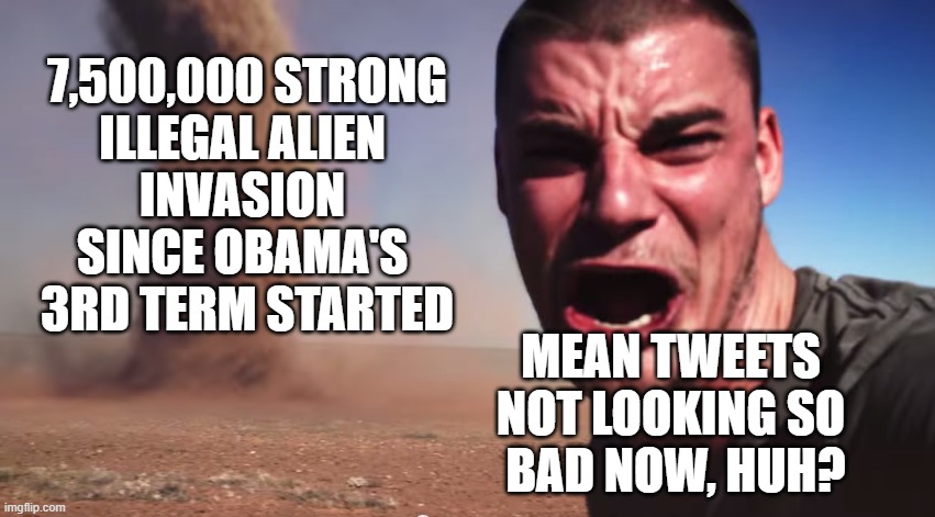 Secure Border? | 7,500,000 STRONG
ILLEGAL ALIEN 
INVASION 
SINCE OBAMA'S 
3RD TERM STARTED; MEAN TWEETS 
NOT LOOKING SO 
BAD NOW, HUH? | image tagged in here it comes | made w/ Imgflip meme maker